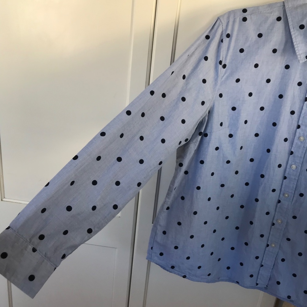 Talbots Blue Polka Dot Blouse - Picture 5 of 16